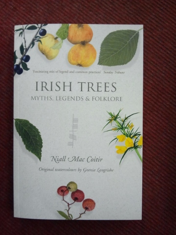 Irish Trees - Click Image to Close