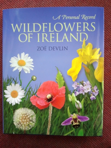 Wildflowers of Ireland.